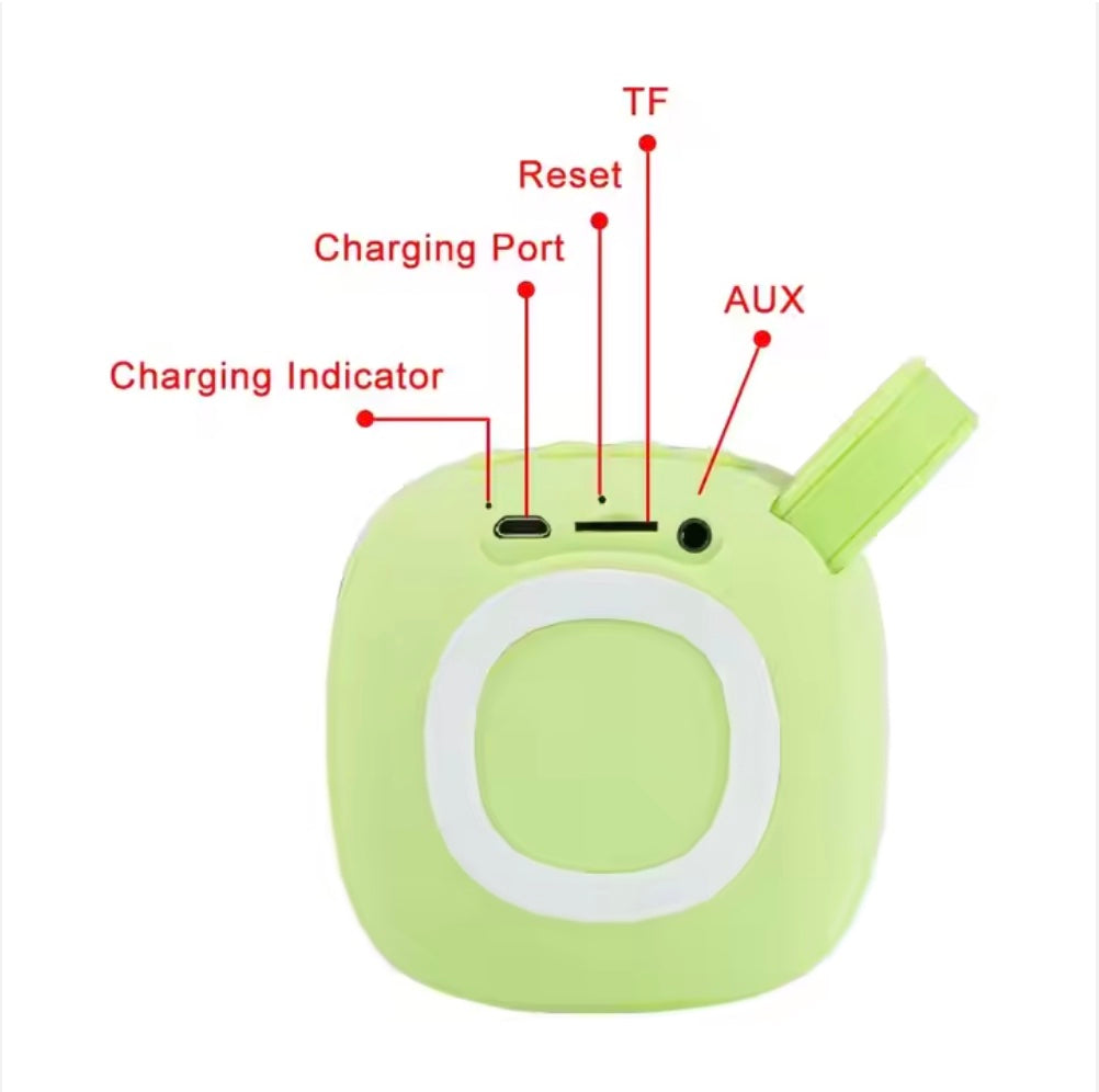 Wireless Outdoor Bluetooth Speaker