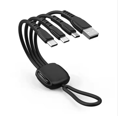 Classic Multi-Port Charging Cable