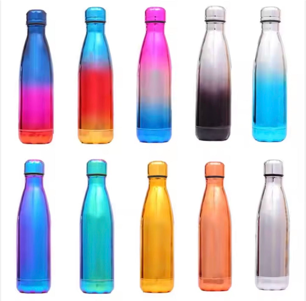 Vacuum Stainless Steel Water Bottle