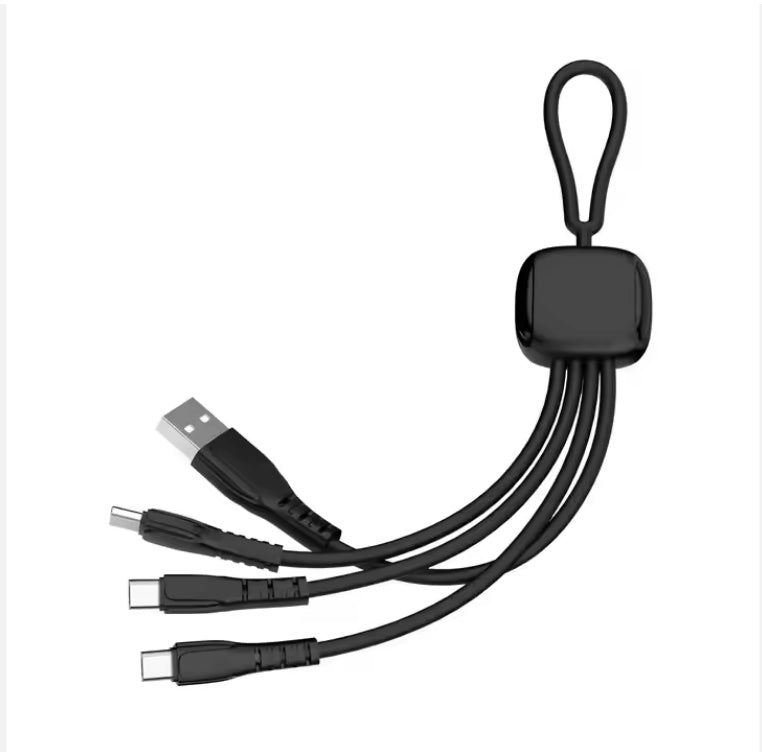 Classic Multi-Port Charging Cable