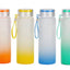 Frosted Glass Water Bottle