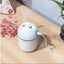 250ml Portable Humidifier