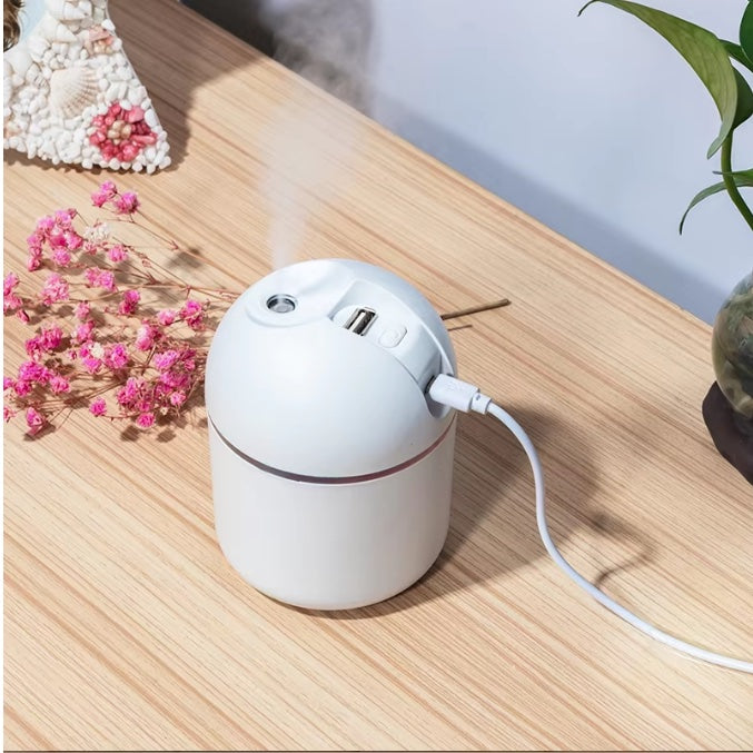 250ml Portable Humidifier