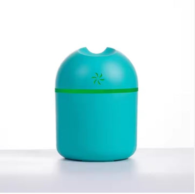 250ml Portable Humidifier