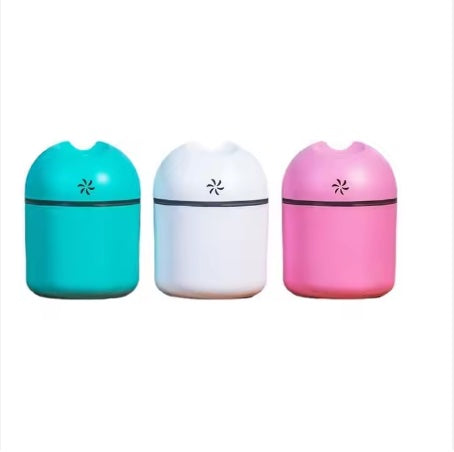 250ml Portable Humidifier