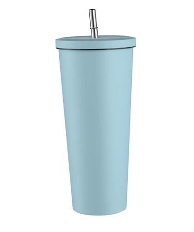 Stainless Steel Tumbler with Straw